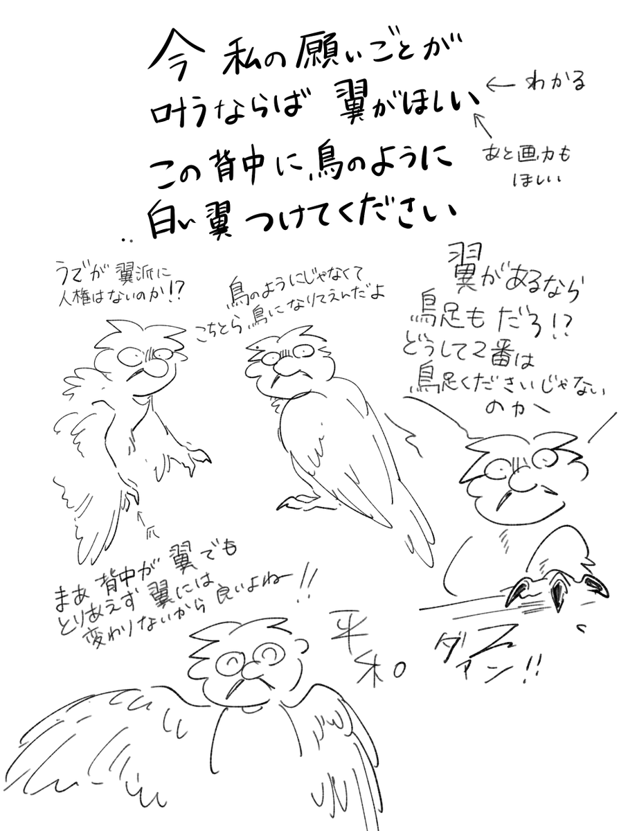 有翼過激派 