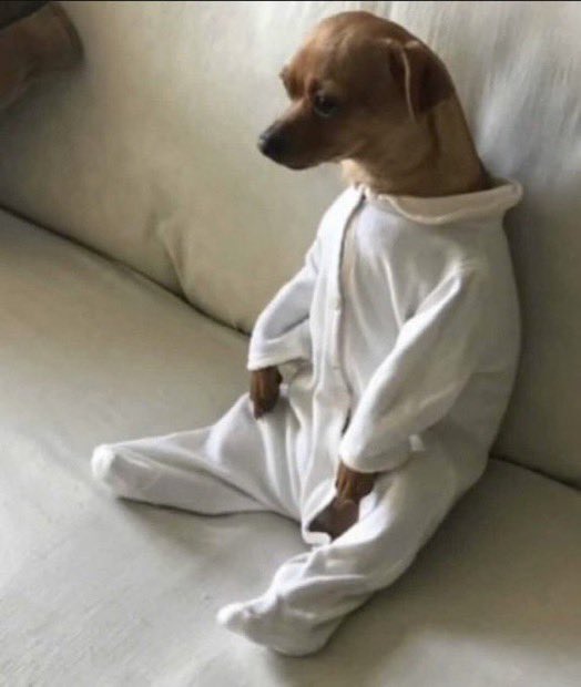 reactjpg's tweet photo. dog in footy pajamas baby onesie sitting on couch like a person https://t.co/UoM61eNg9W
