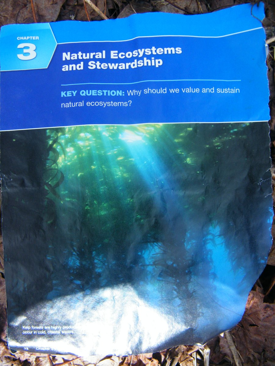 canuckcarl's tweet photo. Each day on my .75km walk home from school crosswalk duty I'm often picking up litter. Ironically this was part of this morning's litter. 
#KeyQuestion: Why should we value and sustain natural ecosystems? 
#EarthDay #OnlyOnePlanet #InvestInOurPlanet #EarthDay2023 #HillsdaleON  🌎 https://t.co/0AP0Pr9NKz