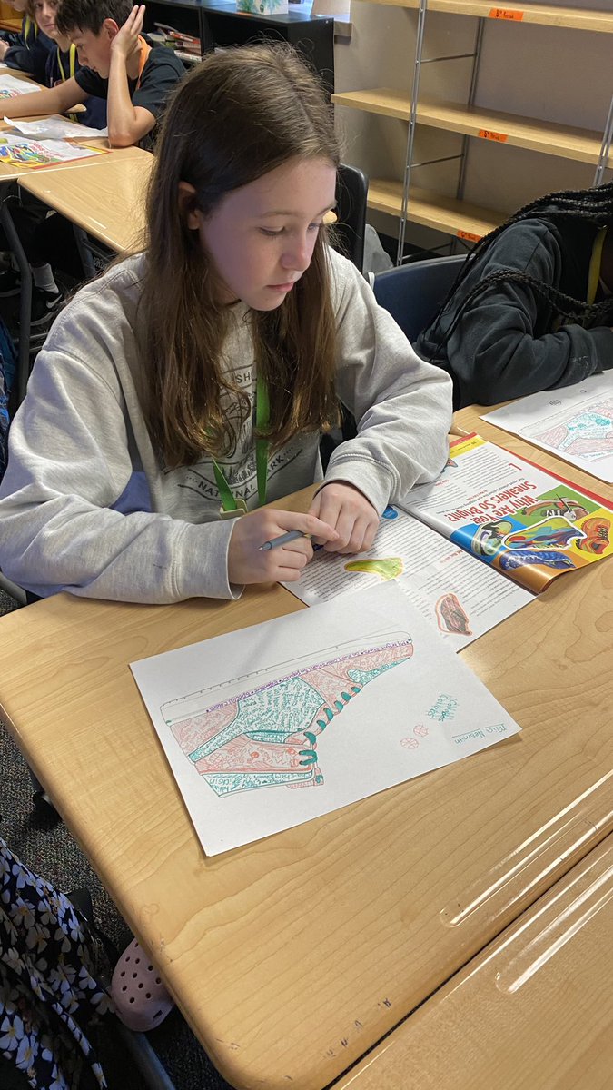 AbbyKettler's tweet photo. Video on Tinker Hatfield and articles on sneakers. Designing their own sneaker and using a sneaker to show annotations as they read. #prmsmagic @RyonMiddle #prmsrocks https://t.co/mhwFMPOvPE