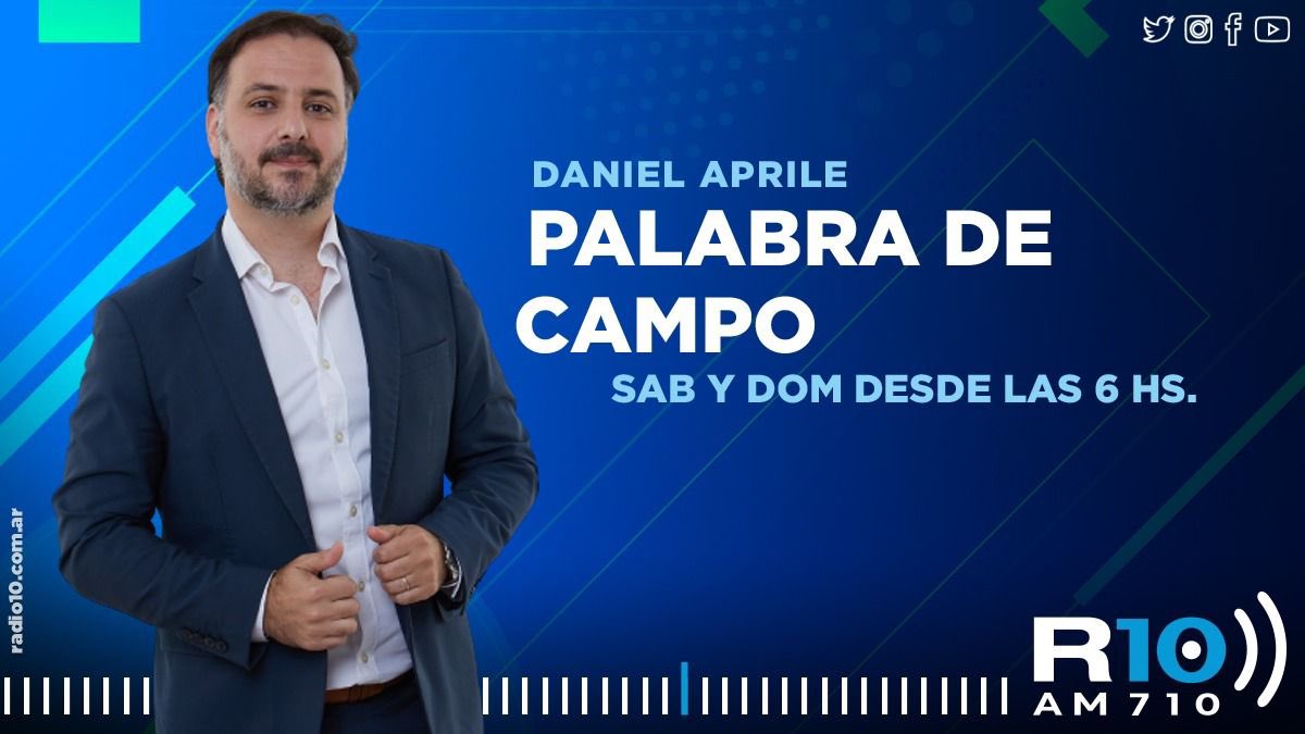 RT apriledaniel "Digo, de pronto, me parece, que los programas del sábado y domingo de Palabra de Campo en Radio 10 de este fin de semana van a ser imperdibles. Después no digan que no les avise…. "