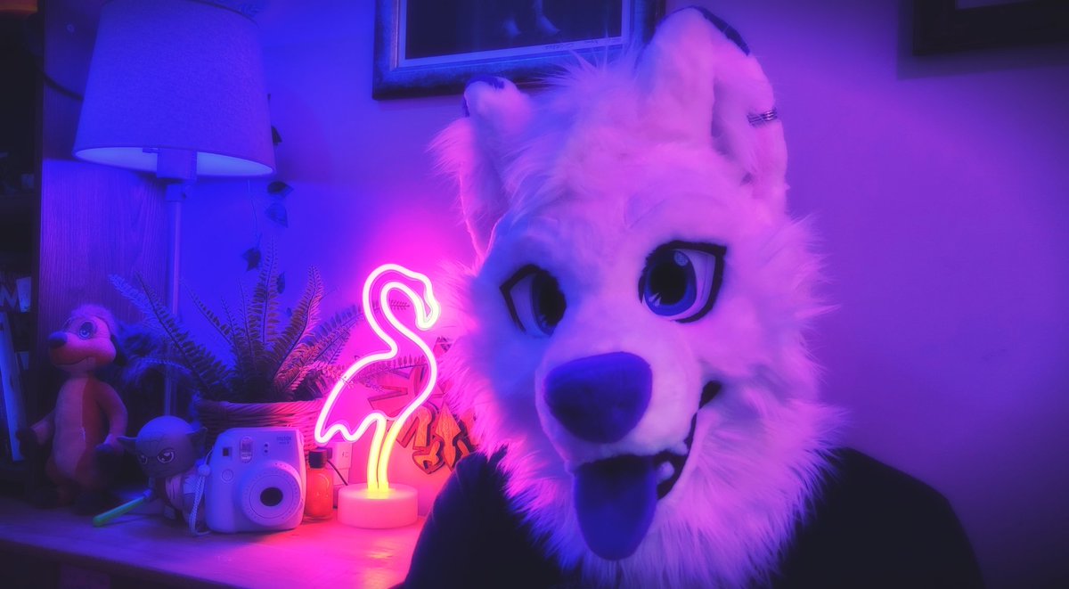 werewolfbfmusic's tweet photo. Happy #FursuitFriday everyone!
It's a special one for us because it's @GoodBoiBeau 's first one with his sparkly new boi 😍
Thank you to @wolf_daz  🪡🧵 for doing such a great job on him! 🐺🩵🐺

#FursuitFriday
#fursuiter #furryfandom #furrymusic #werewolfboyfriend https://t.co/wVQtsPGsLg