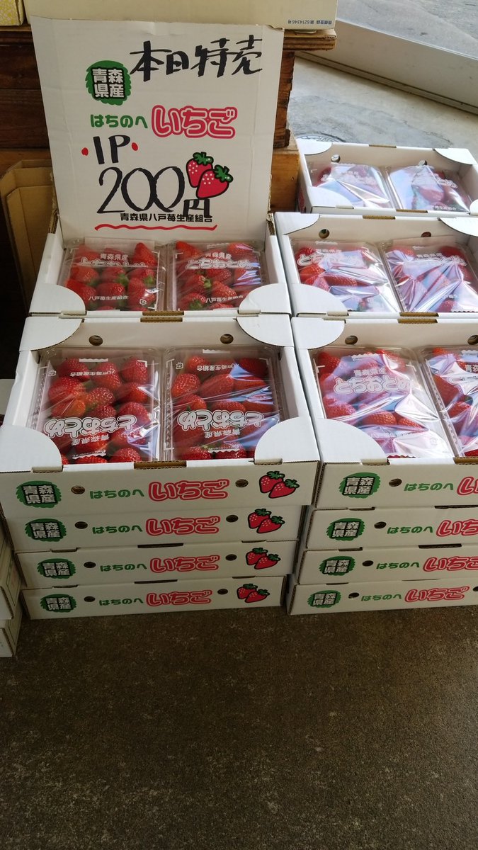 aibafruit's tweet image. おはようございます☺️
いつもお世話になっております☺️
今日も肌寒い日ですが、体はみなさんと一緒で快晴です🎵
本日の特売は
とちおとめ🍓(青森県産)1pc200円
バナナ🍌(フィリピン産)1袋100円
白かぶ大玉(函館産)1個150円
今日もお待ちしてます☺️