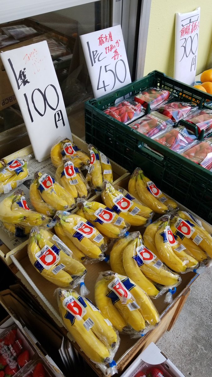 aibafruit's tweet image. おはようございます☺️
いつもお世話になっております☺️
今日も肌寒い日ですが、体はみなさんと一緒で快晴です🎵
本日の特売は
とちおとめ🍓(青森県産)1pc200円
バナナ🍌(フィリピン産)1袋100円
白かぶ大玉(函館産)1個150円
今日もお待ちしてます☺️