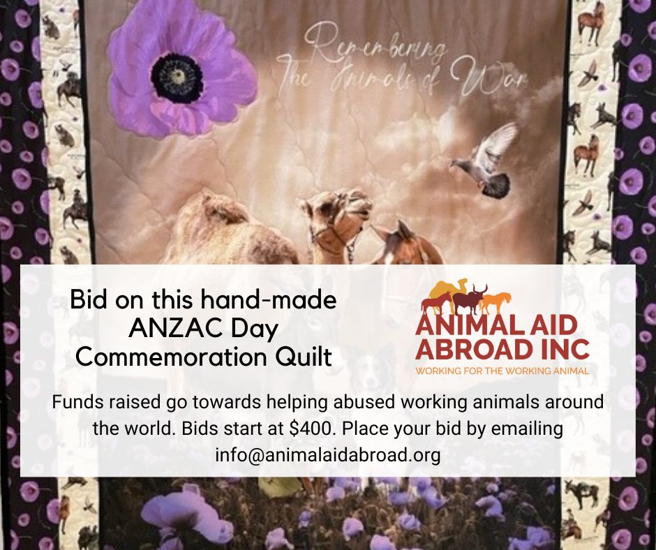 4helpinganimals's tweet image. To commemorate #AnzacDay, AAA member Elsie Goode has made a stunning quilt remembering #animals in war. You can bid on this amazing quilt by emailing info@animalaidabroad.org. All proceeds will go to suffering #workinganimals. Bids start at $400 &amp;amp; are open to anyone in Australia.
