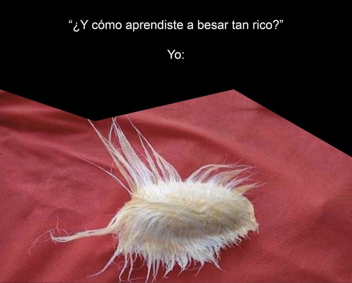 Y siiiii