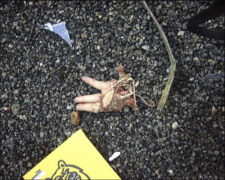 9/11 WTC Archives on Twitter: 