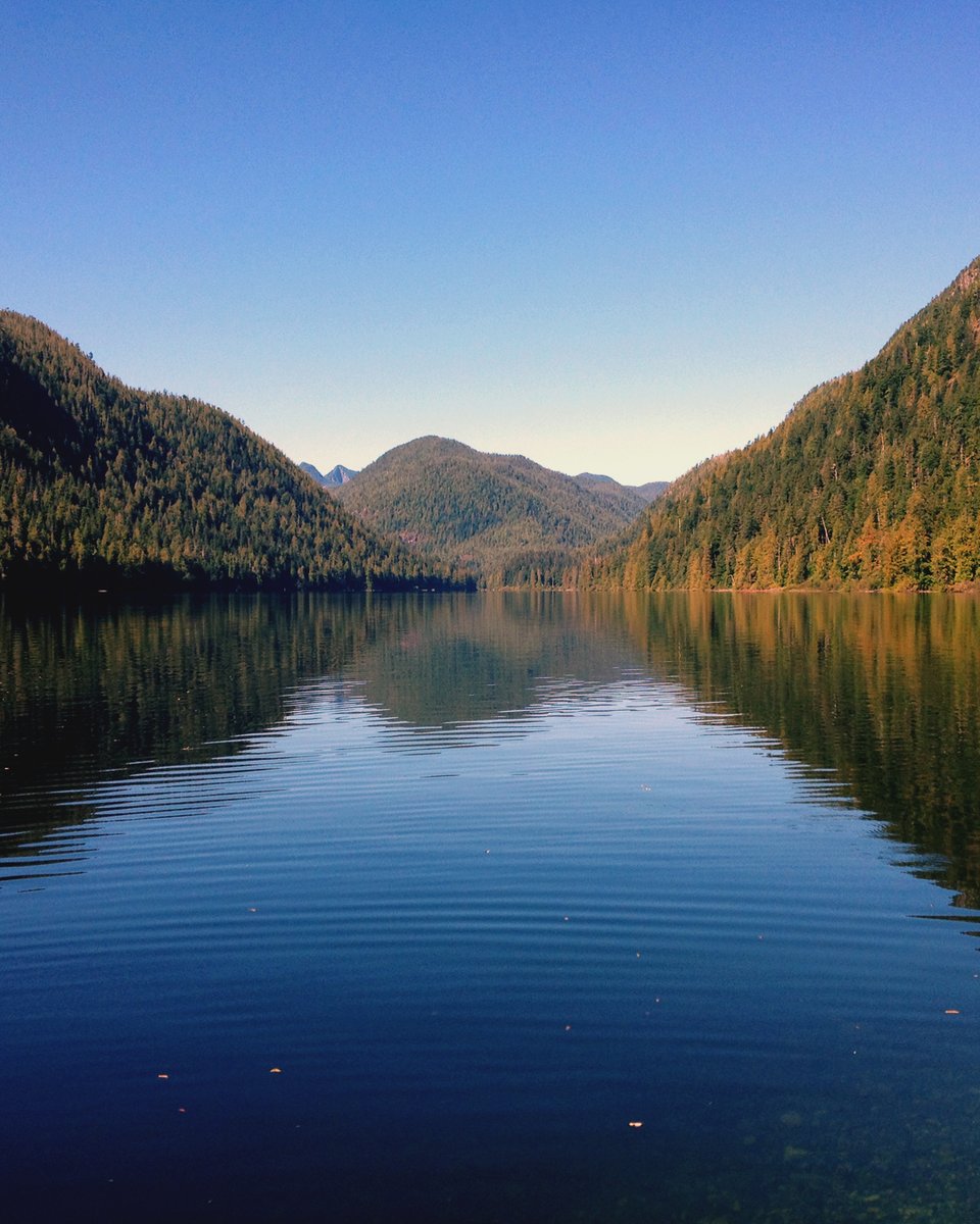 flyairble's tweet photo. The Megin-Talbot addition to Strathcona Park contains the largest undisturbed watershed on Vancouver Island, karst limestone geography, old-growth forests, and salmon habitat.
Charter a seaplane to this beautiful lake on Airble!
.
.
.
#airble #seaplane #flyinfishing https://t.co/AWv4fOwQcL