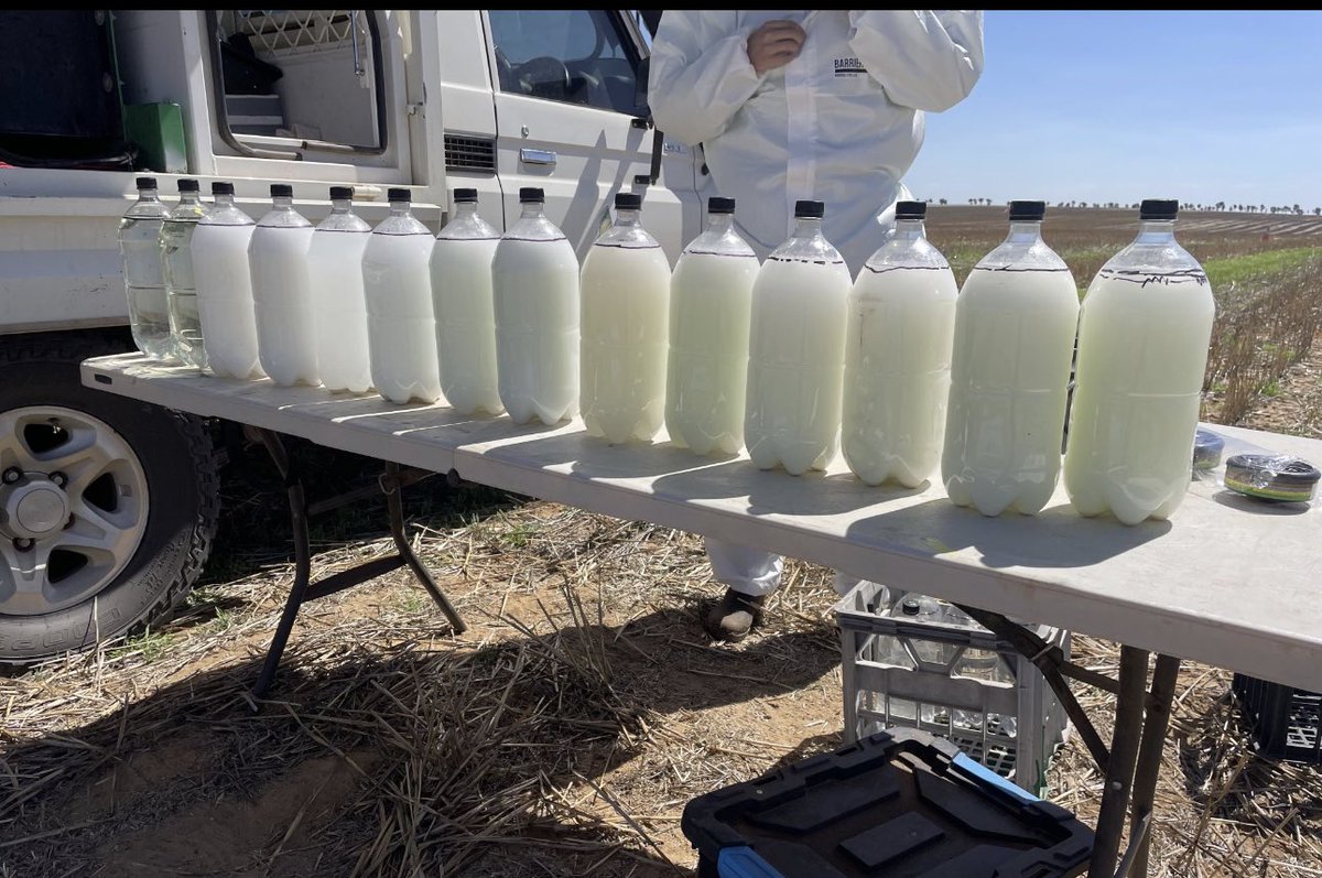 Dropzone 24-D from Nufarm less antagonistic than Ester 680 with Glyphosate on hard to kill Button Grass in replicated 15 treatment trial at Mullewa.  10% better kill on heading Button Grass .. Also non volatile so safer on non target crops and population.