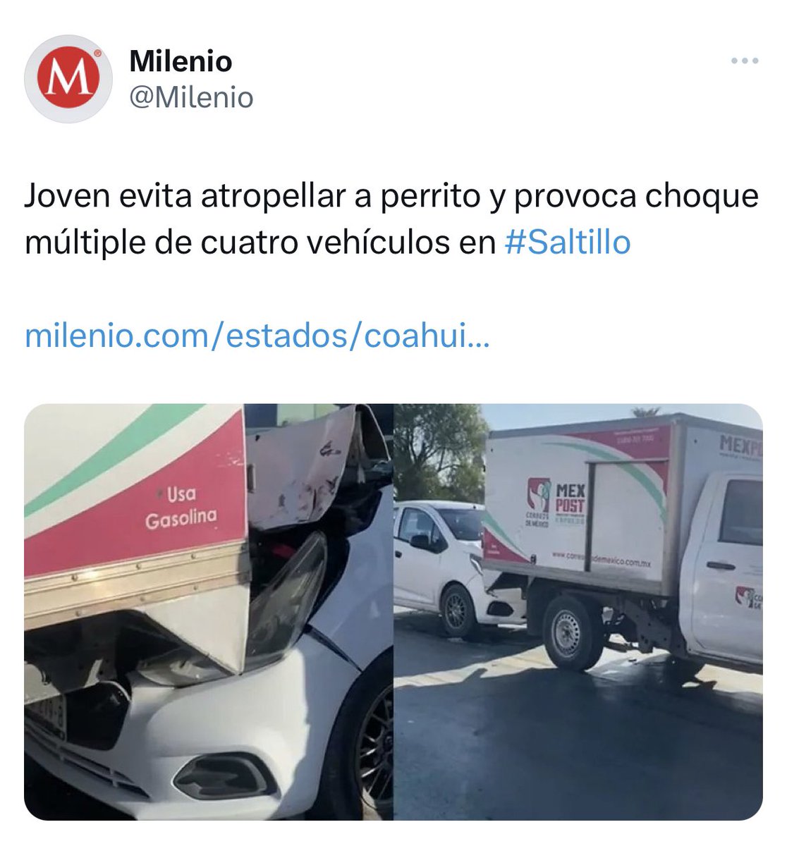MexicoMagico's tweet photo. Héroe nacional 🇲🇽🐶 https://t.co/uUDbYi2Nrh
