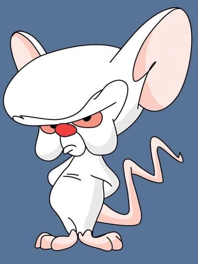 TorchiaSofia's tweet photo. cerebro/cerebro https://t.co/pEGPqG4Ivy