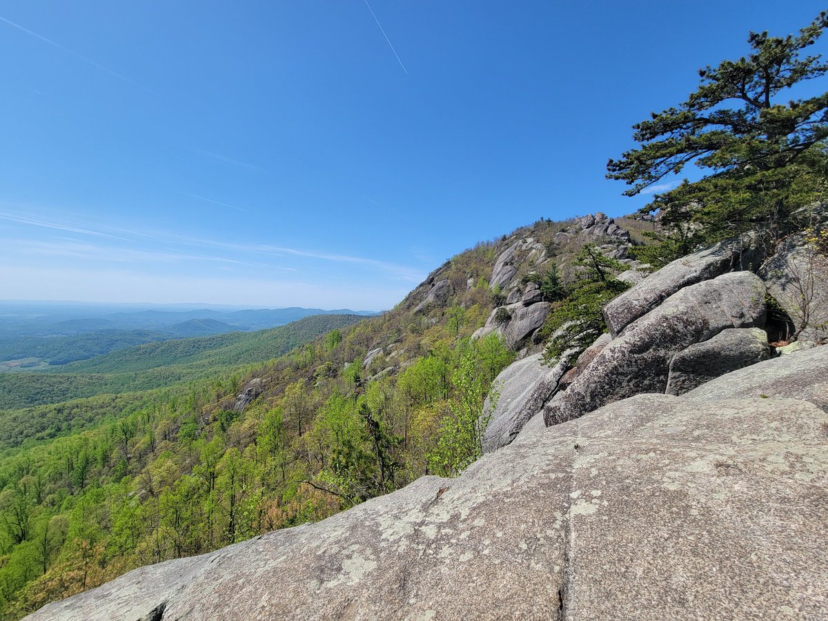 cryptid94's tweet photo. The false summit was prettier than the actual one tbh https://t.co/2ePps1GMTG