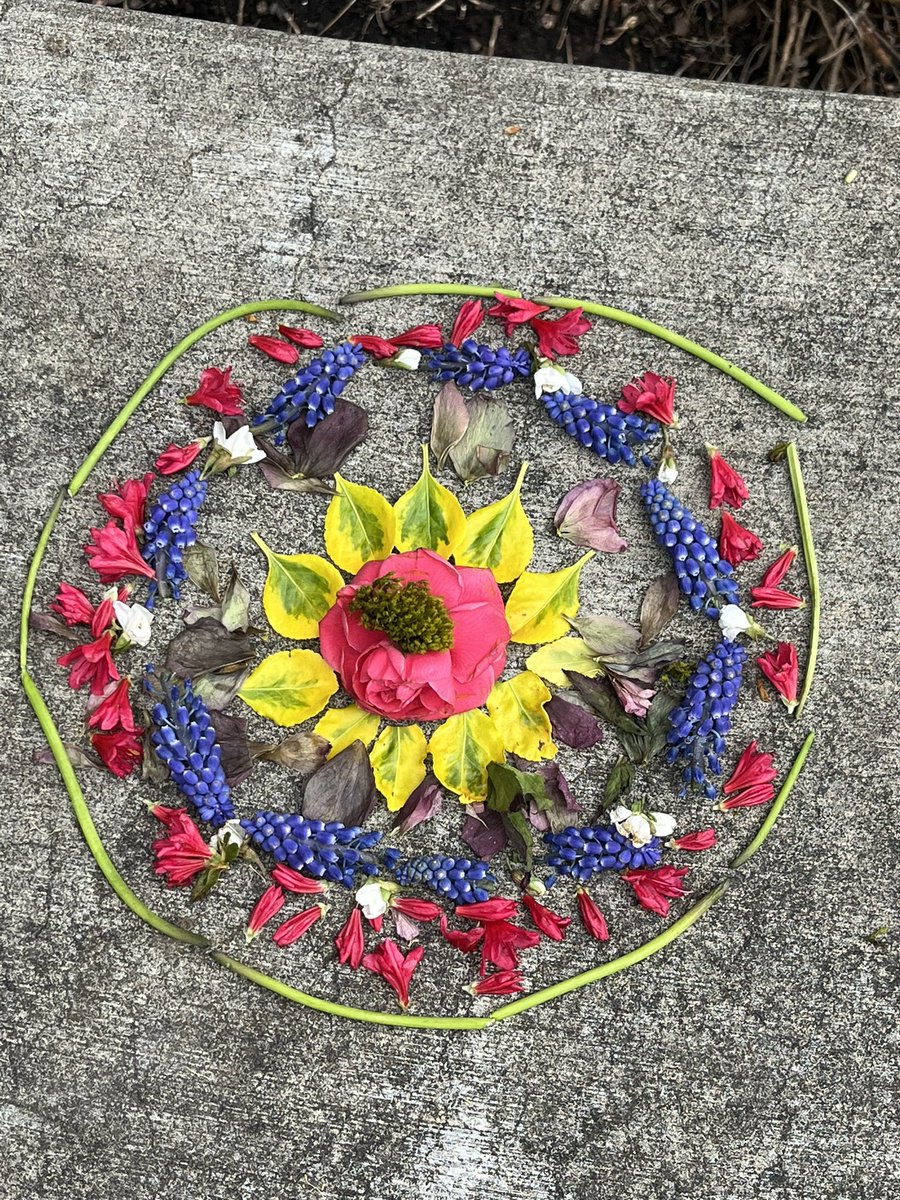 We celebrated Earth Day today by creating natural art in the style of Andy Goldsworthy. The setting at Cedaroak allows every child to enjoy nature every day. Thank you teachers, staff, families, and students for your participation in this joyful event. 🐿️🌷🌿