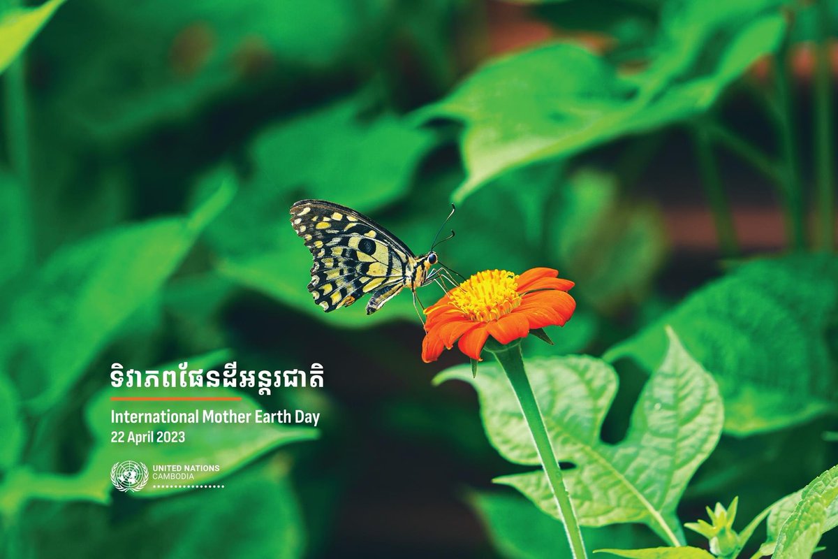 UNCambodia's tweet photo. Today is the International Mother Earth Day, let's reflect on our relationship with nature. Let's be kinder, more respectful, and more mindful of our impact on the environment. Together, we can create a better world for ourselves and the planet. #MotherEarthDay #ClimateAction https://t.co/1ONb1N0dnx