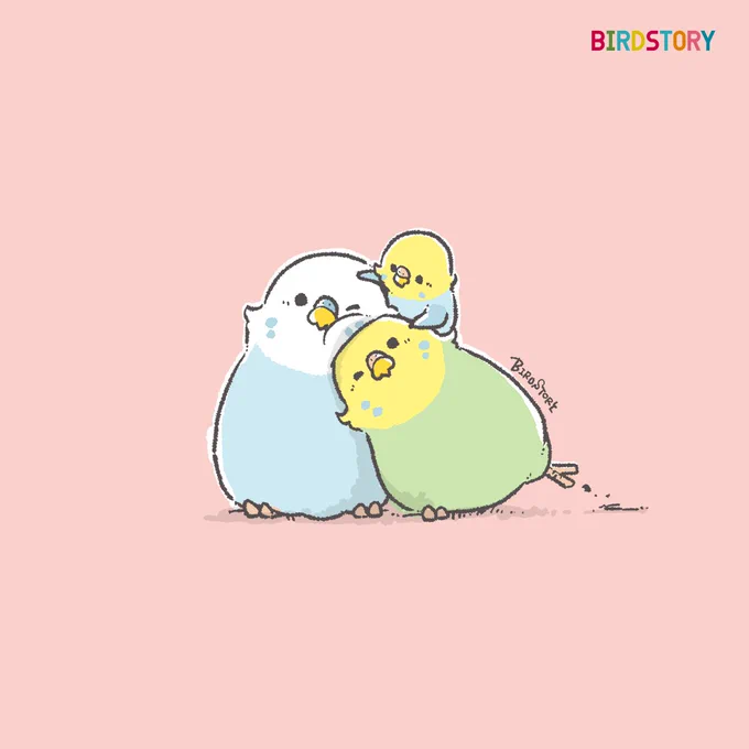 おはようございます。本日は4月22日、語呂合わせから、よい夫婦の日とのことです#BIRDSTORY #よい夫婦の日 #セキセイインコ 