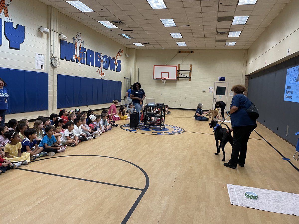 jennlappage's tweet photo. @CME_Tigers celebrated Career Day today. Our theme this year was servant leadership so our keynote speakers taught us about volunteer work and public service careers. Students dressed up as their future career. @PrincipalMCB @APMangum20 https://t.co/K08GmN3nc1
