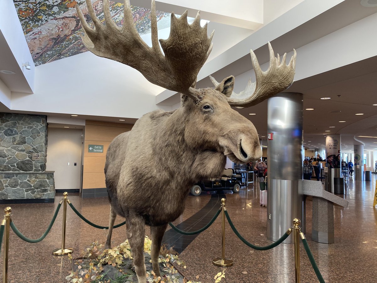 AriNeumann's tweet photo. Sad to leave Anchorage after a productive work trip. Looking forward to returning to the 49th state to continue serving rural Alaskans and Alaska Native Villages! #RuralMatters https://t.co/NRAXIYodej