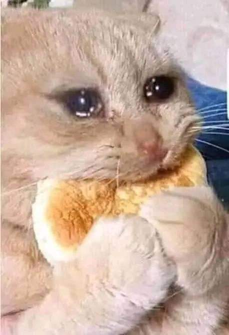 4ndreeeees's tweet photo. @kendomurft :'c https://t.co/oqhxauNfAT