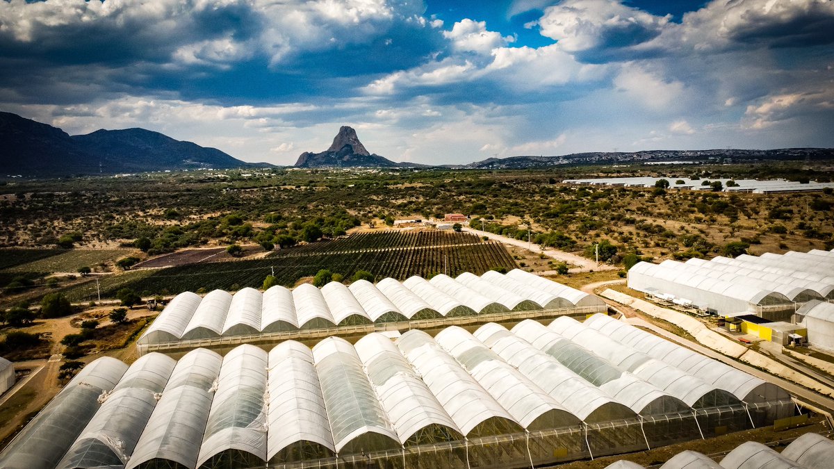 david_izazola's tweet image. V-Lab 🧪🪴
Primer planta en el país que contará con una granja de agricultura vertical ✅
Cliente: Universidad Ceickor 
📸: @omartz2 
#vlab #agenciademarketing #davidizazola #marketing