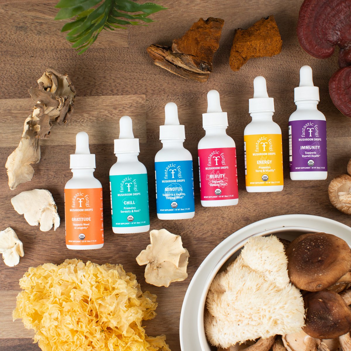 FantasticFungi's tweet photo. New on the Fantastic Fungi Blog! Ready to learn more about each formula? Keep reading for a rundown of why we made them, what’s inside — and who we think will love them! https://t.co/lI6T7DIaOv https://t.co/dSpvmVXMZ4