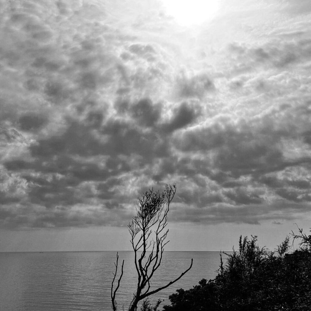 thats_ooo's tweet photo. This is the E(art)h

#sunrise #thisis #surf #lifestyle #sky #sea #earth #countyside #nowar #gotospace #weekend https://t.co/I9OxkEAlrI https://t.co/fXBKNp3XIC