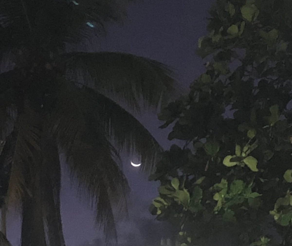 leleGateWay's tweet photo. Hoy la luna está más hermosa Ake todos los días💜💜💜 https://t.co/AFvjHFV20G