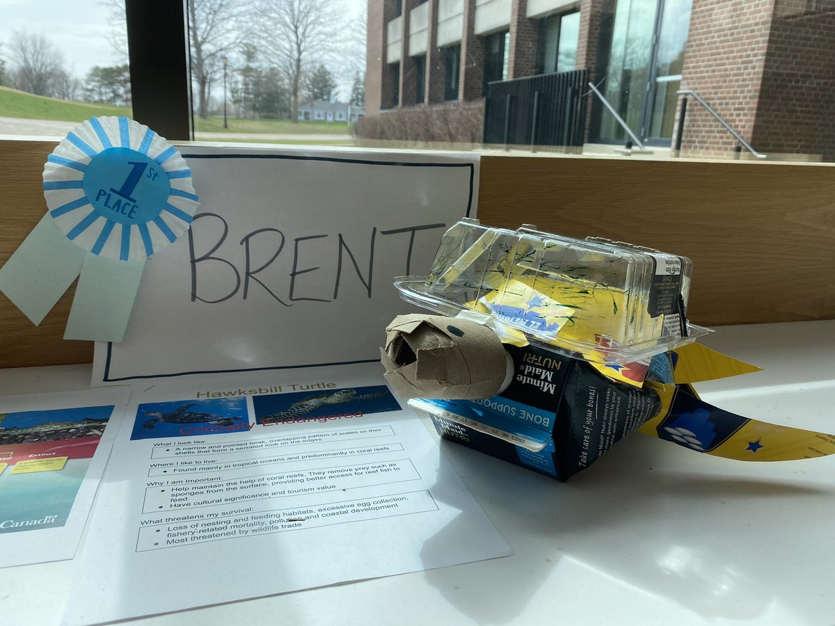 AlieElliott's tweet photo. @TCSBears #earthday 2023 saw SS students taking in the Sustainability Showcase, playing “Which is more MOGO?”, creating recycling sculptures of species-at-risk, launching 2 new bee colonies, and planting seeds. JS students collected over 400 lbs of litter in their annual cleanup https://t.co/QRO8Wp4Mxj