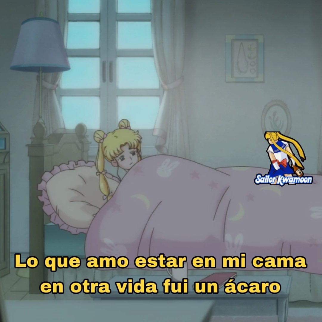 nacional_memes's tweet photo. X https://t.co/Vr8VrZJSWU