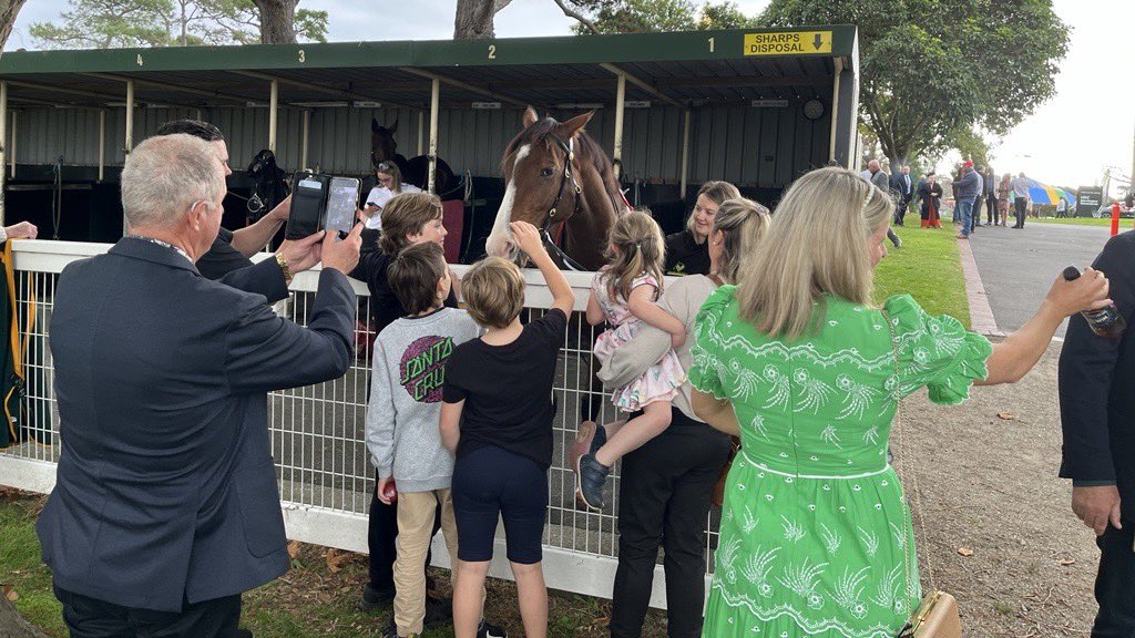 MelbRacingClub's tweet photo. 🖤🤍

2x Group 1 winner Streets of Avalon is a very popular addition to @NedsAus #MorningtonCup🏆 Day. https://t.co/lyYOU8GlzW