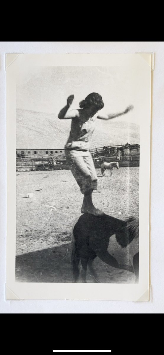 teel_inc's tweet photo. My great grandmother, at the age of 94, was up on her roof cleaning the gutters. She scared her neighbors so bad the firemen came out and had to convince her to let them clean the gutters so she would get down.  She’s now 96 and pissed she isn’t allowed to garden anymore. https://t.co/0zQ4ArFXfc