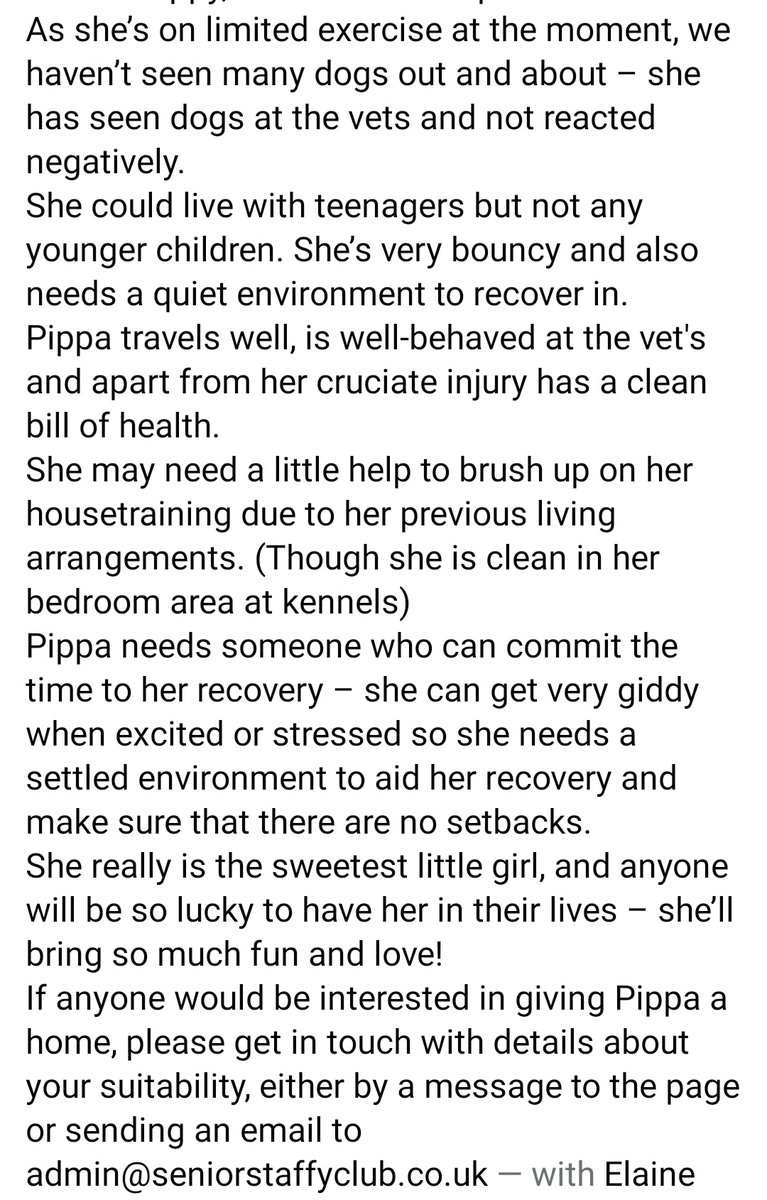 SeniorStaffy's tweet photo. Can anyone help please? ⬇️⬇️⬇️
Our sweet little Pippa needs an operation and to help her recover we need to find her a foster home 🏡  please share 🙏 thanks! 
#seniorstaffy #TeamZay #staffiesaturday #RescueDog ❤️ https://t.co/SR34d1Dw0y