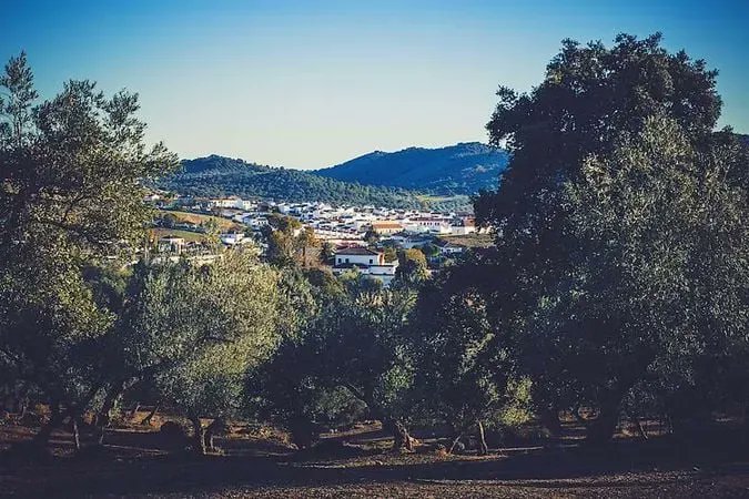 HOTELESnet's tweet photo. Ahí van cuatro pueblos bonitos de #Andalucia, para no volvernos locos a la hora de elegir nuestro próximo destino: #Cazalla de la Sierra, en Sevilla; #Iznajar, en Córdoba; #Ojen, en Málaga, y #Bubion, en Granada
Más información y reservas 👇 https://t.co/9NwBjE0pel
@viveandalucia https://t.co/DMspRd12P0