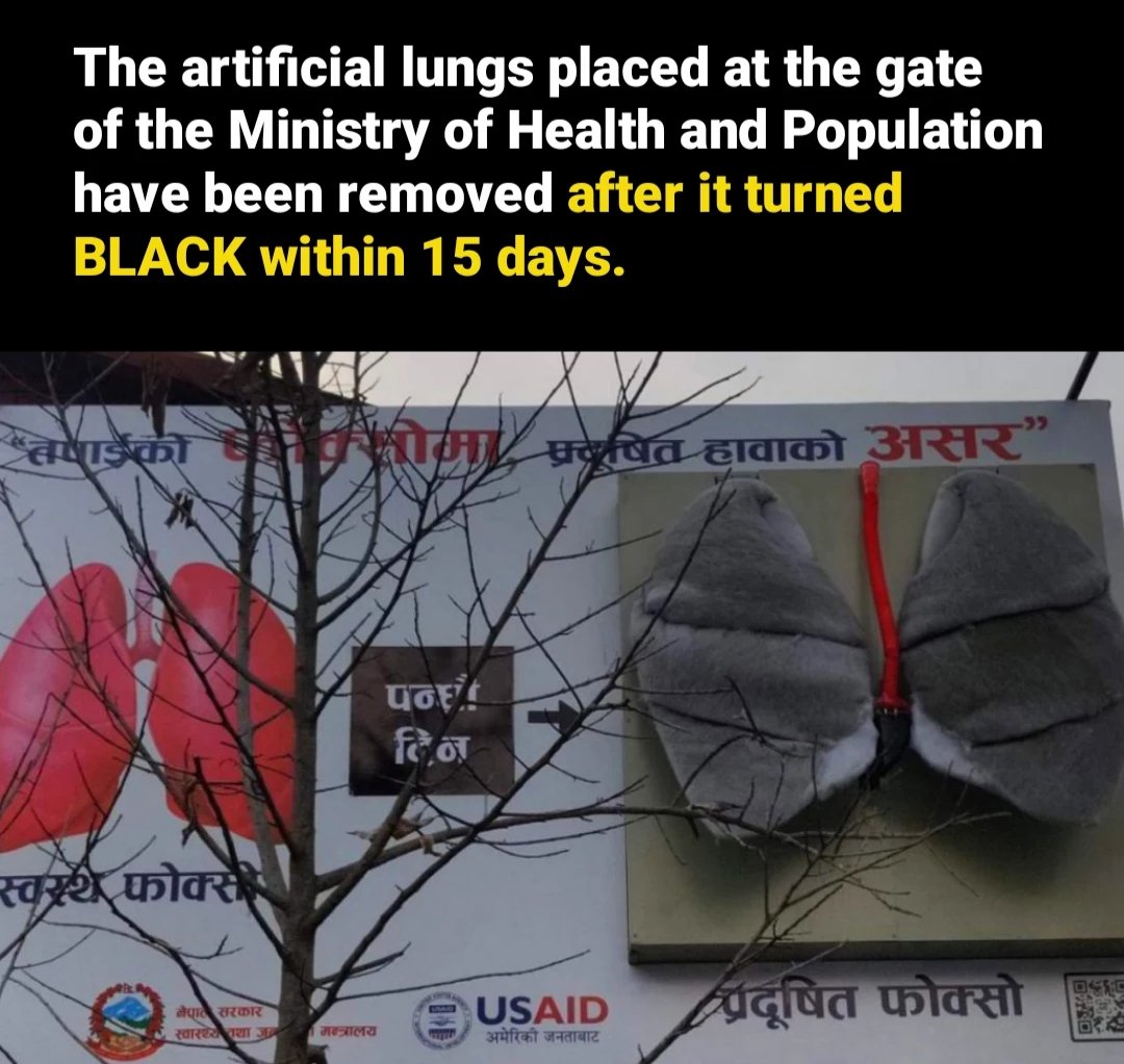 NoNext_Question's tweet photo. This shows the amount of pollution in Kathmandu valley and its impact on public health.  

A pair of artificial lungs was installed at the entrance of the Ministry of Health  for tangible measurement of air pollution in Kathmandu on the occasion of World Health Day, April 7. https://t.co/XA9uIJ58Y2