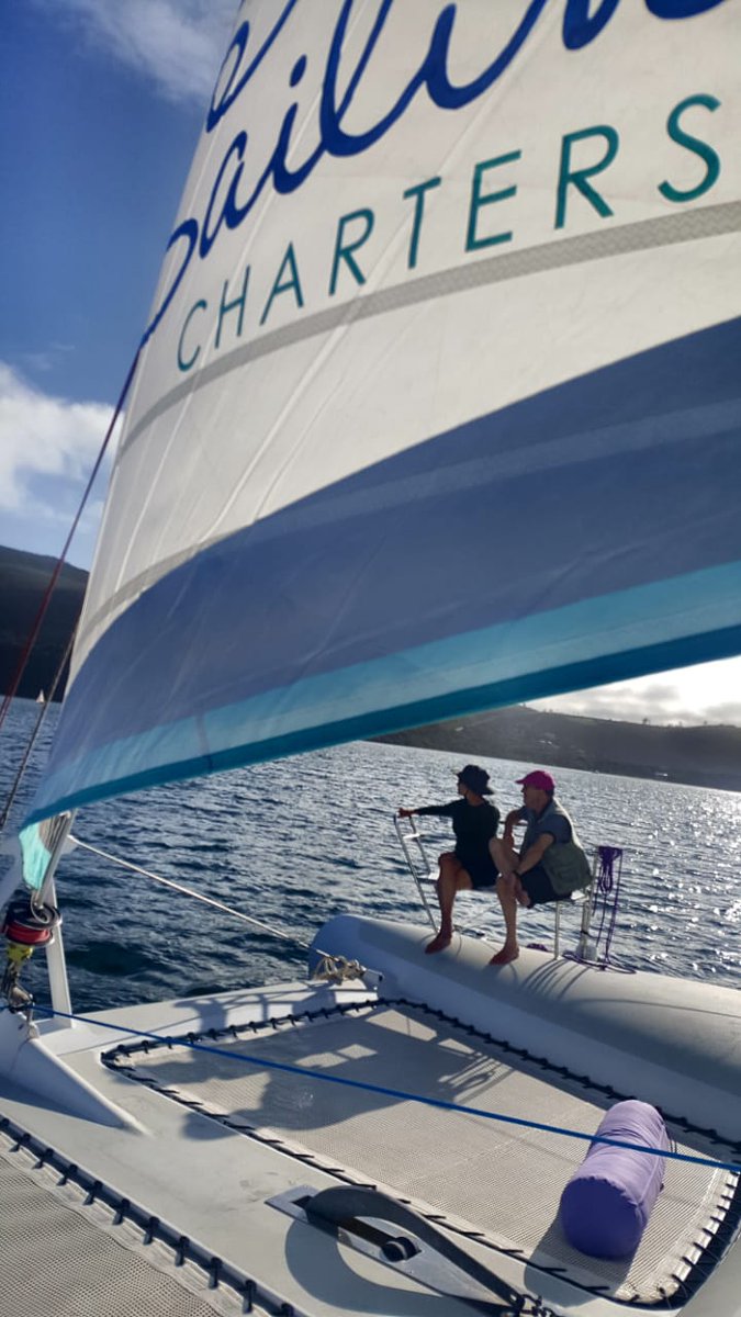 Ocean Sailing Charters tweet media