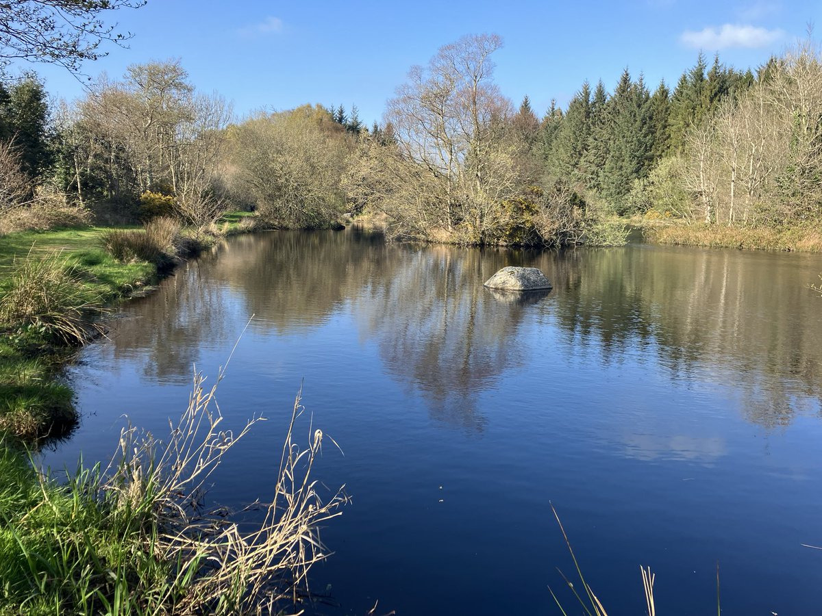 Noel Juvigny-Khenafou tweet media