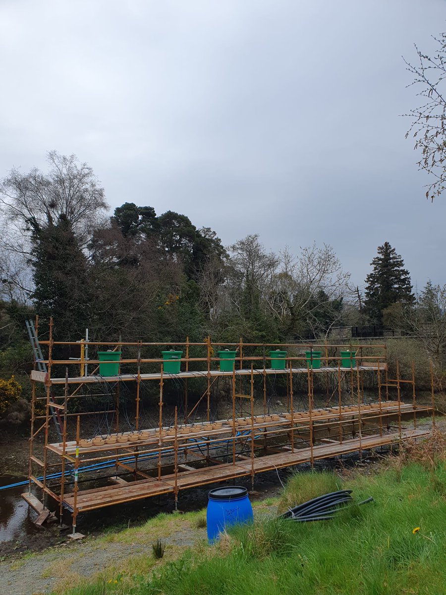 Noel Juvigny-Khenafou tweet media