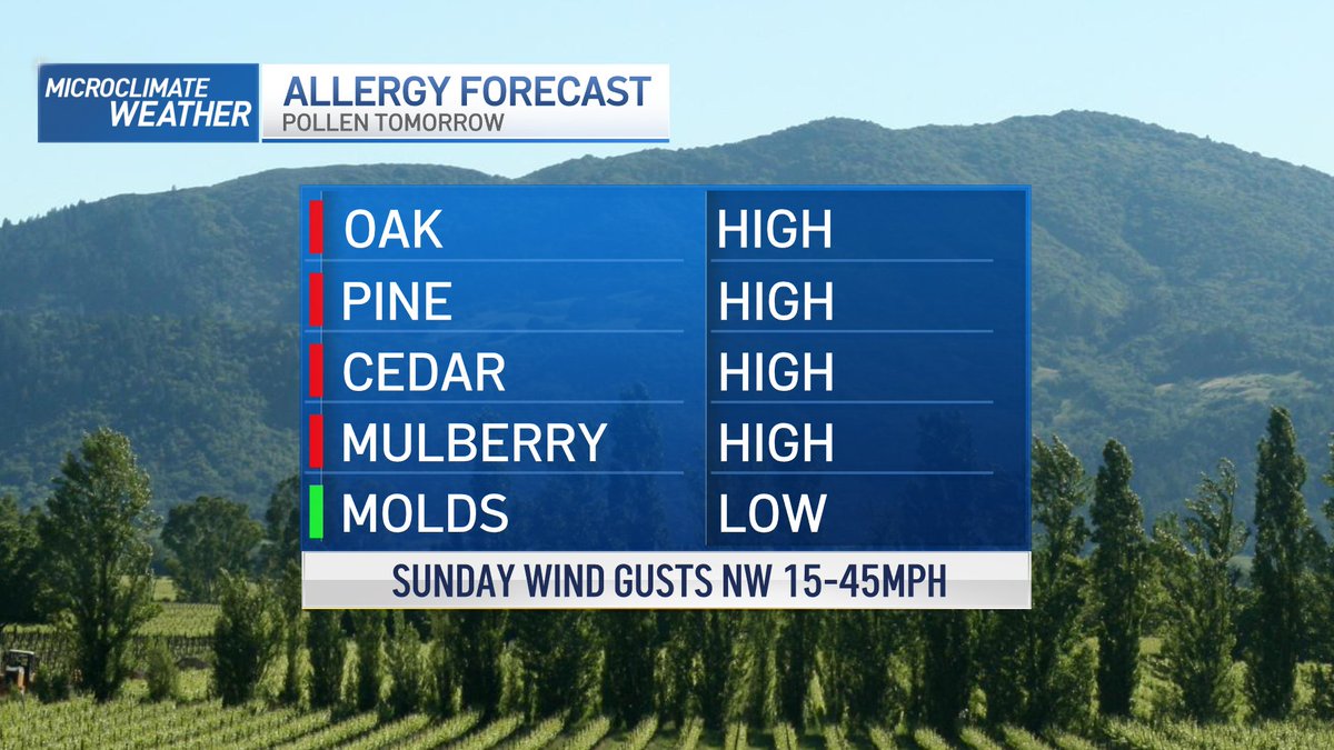 Jeff Ranieri On Twitter Sneezing Could Be This Watch Out For jeff-ranieri-on-twitter-sneezing-could-be-this-watch-out-for