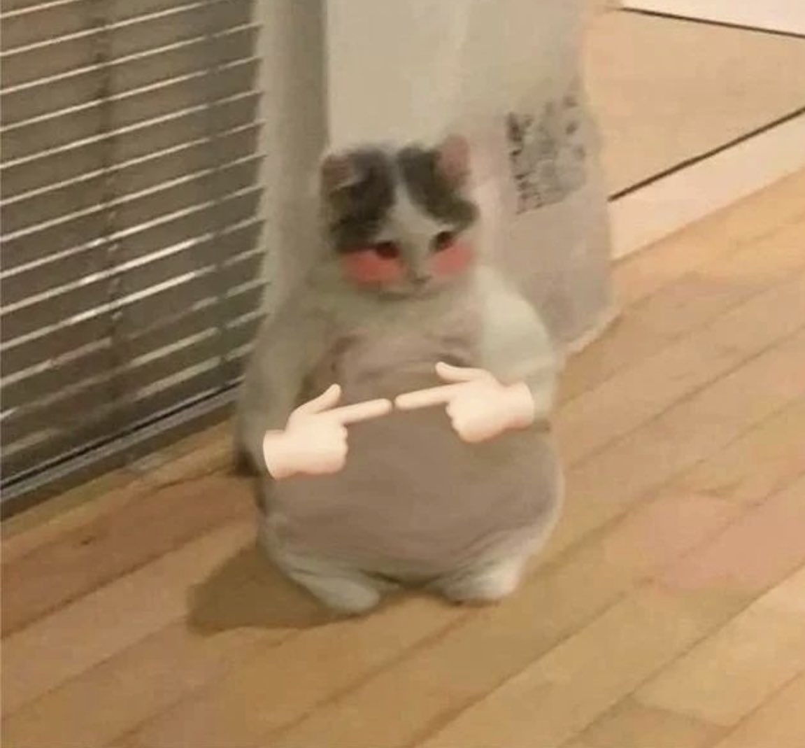 lightlysauteed's tweet photo. Breaking my twitter silence to say nighty night sleep tight and don’t let the bed bugs bite. https://t.co/Yd0fif4jut