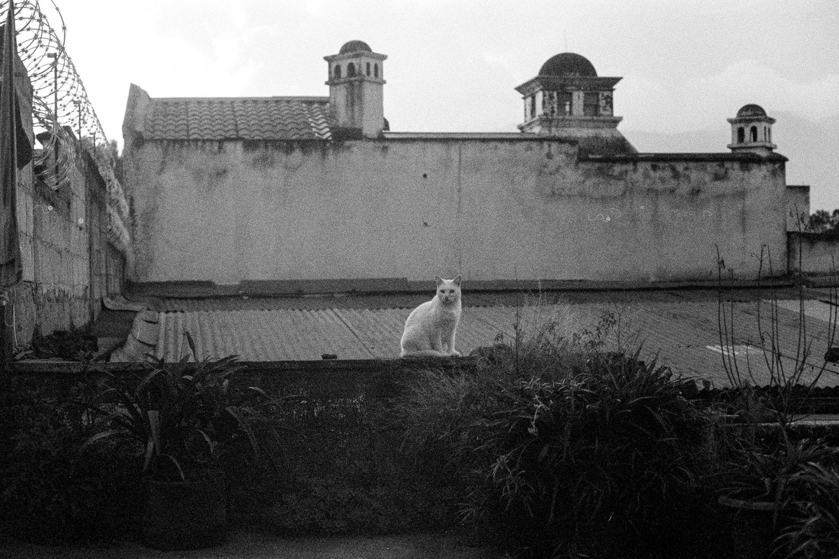 XaviDussaq's tweet photo. Aaaannndddd, in 2014 I started a project back at home I called #MiGuateEn35mm. Shot on #IlfordDelta400 on my very first camera which was a #CanonAE1Program. This series is by far the most intimate to me. Shot on my trips to Guatemala 🇬🇹🇬🇹🇬🇹🫰🏽 https://t.co/PFtKVBS8mx