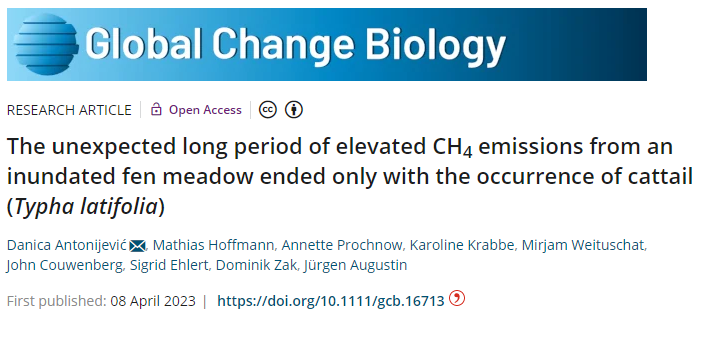 DanicaAntonije2's tweet photo. Our paper(and my first first-authored paper)about high #CH4 #emissions from #rewetted #peatland,ending with development of #cattail,is out!I'm very grateful for all the support!
https://t.co/qNDyG349qa
#MonksHillLab
@MathiasHofmann6
@ProchnowAnnette
@zalf_leibniz
@GlobalChangeBio https://t.co/Hzor35RLJd