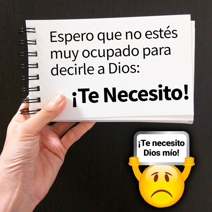 Pildorasdefe tweet media