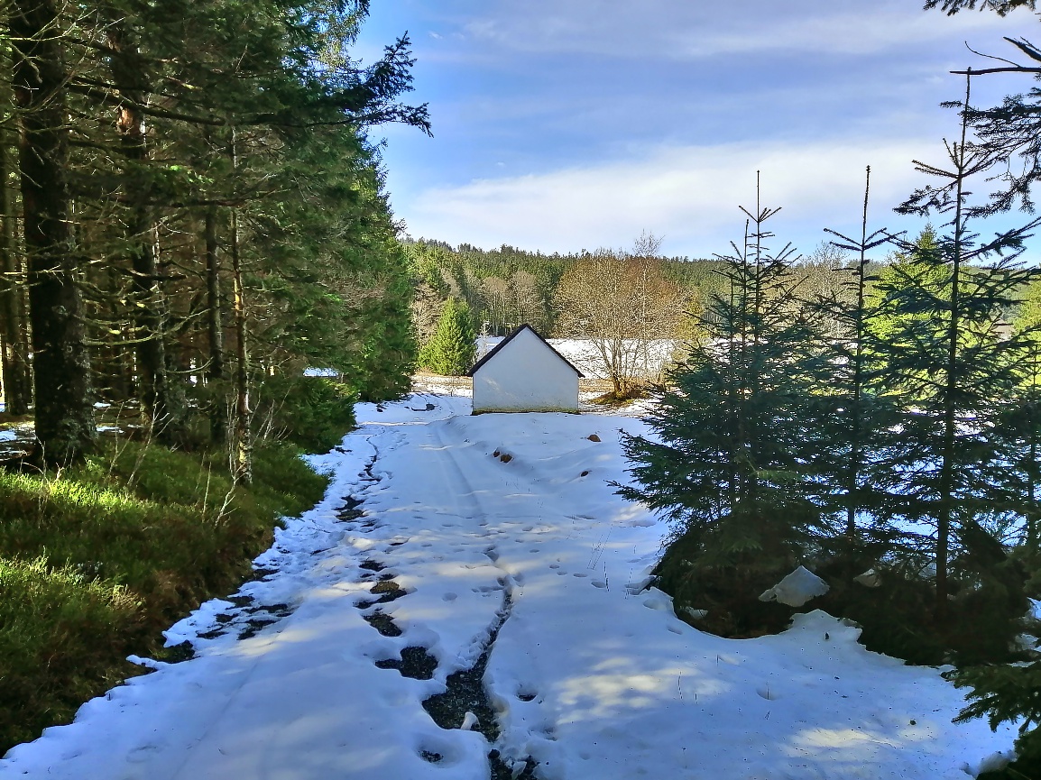 S59Marta's tweet photo. Kaplička Panny Marie na Suchých Studánkách⛪️❄️🌤️
📷 21.4.2023
#sumava #javorna #kaple https://t.co/4fPMO7RKDL