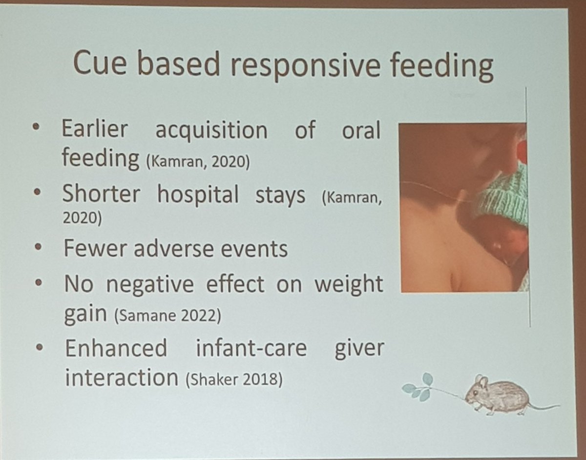 AloysiusAnnie's tweet photo. Thanks @joelafferty for sharing Ninewells NICU Dundee QI project to implement cue based feeding including a place to document scores on Badgernet coming in July! #MAINN2023 @NeoSLTCEN https://t.co/7szIFDS3xB