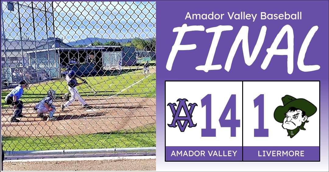 AVHS Baseball tweet media