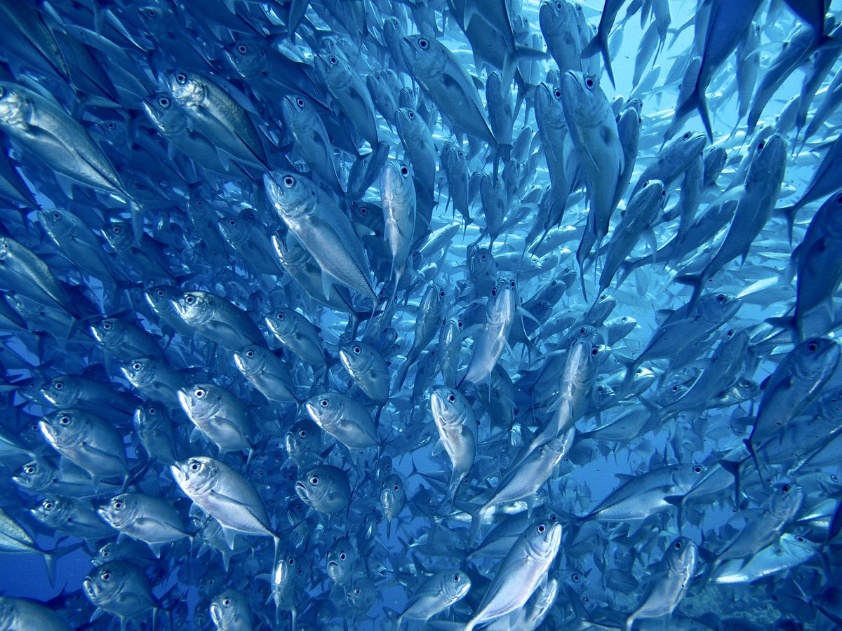 StephenBengSL's tweet photo. #EarthDay2023 is a reminder of our responsibility to protect the World we all live in for future generations. 
To invest in this #BluePlanet we all depend upon and call Home. 

#unity #lives #livelihoods #nature #ocean #Earth 

https://t.co/E2Vn8ifkTk

https://t.co/xigJkvvd7H https://t.co/7unCLUlLDC
