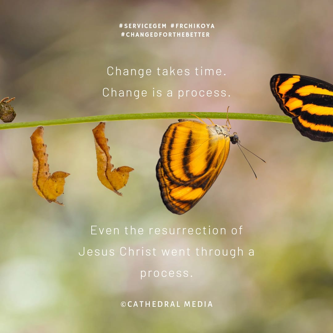CathedralLusaka's tweet photo. #ServiceGem #FrChikoya #ChangedForTheBetter #AnglicanCathedral https://t.co/TwmdRaVxcR