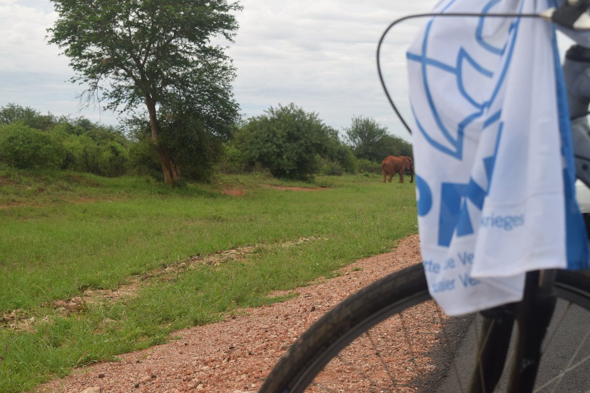 drbimalkhadka's tweet photo. IPPNW BIKETOUR KENYA 2023
DAY 3: We encountered lots of elephants, monkeys, birds during our ride and pedaled 40 km, stopped at Tsavo national park for breakfast.
60 km more to go.
#ippnwbiketour2023
#ippnwbiketourkenya2023
#bikeforban
#healththroughpeace
#ippnwkenyacongress https://t.co/rdlotv6vog