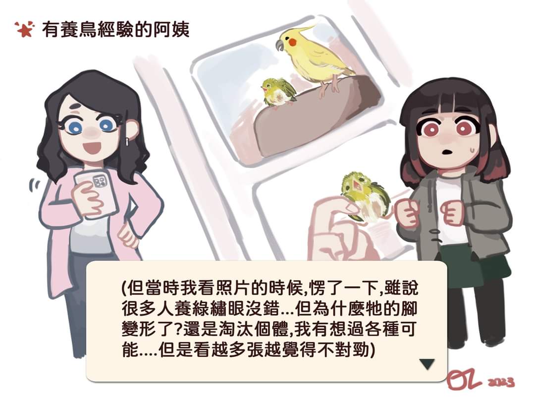 itachi644's tweet photo. ＜那個有養鳥經驗的阿姨＞
此案例的苦主：被養到變形而且因為代謝性骨病不斷骨折且發育不良的綠繡眼與斑鳩們、從高樓衰落致死的台灣原生種斑龜
綠繡眼也有人工照養紀錄下活10年的紀錄，所以1年真的是可以說是夭折了ry
就算綠繡眼是食果性只有餵木瓜泥肯定骨骼完全變形，不要撿到就養起來……唉 https://t.co/7G26ufS6OT