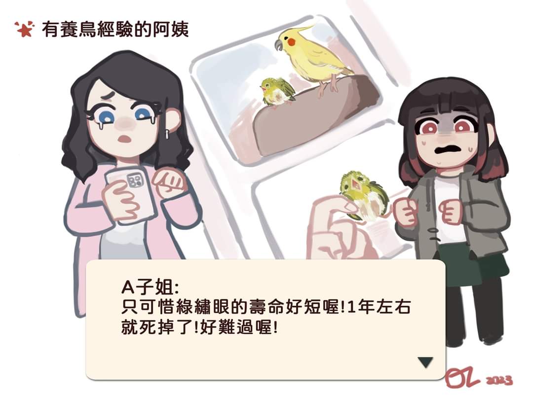 itachi644's tweet photo. ＜那個有養鳥經驗的阿姨＞
此案例的苦主：被養到變形而且因為代謝性骨病不斷骨折且發育不良的綠繡眼與斑鳩們、從高樓衰落致死的台灣原生種斑龜
綠繡眼也有人工照養紀錄下活10年的紀錄，所以1年真的是可以說是夭折了ry
就算綠繡眼是食果性只有餵木瓜泥肯定骨骼完全變形，不要撿到就養起來……唉 https://t.co/7G26ufS6OT