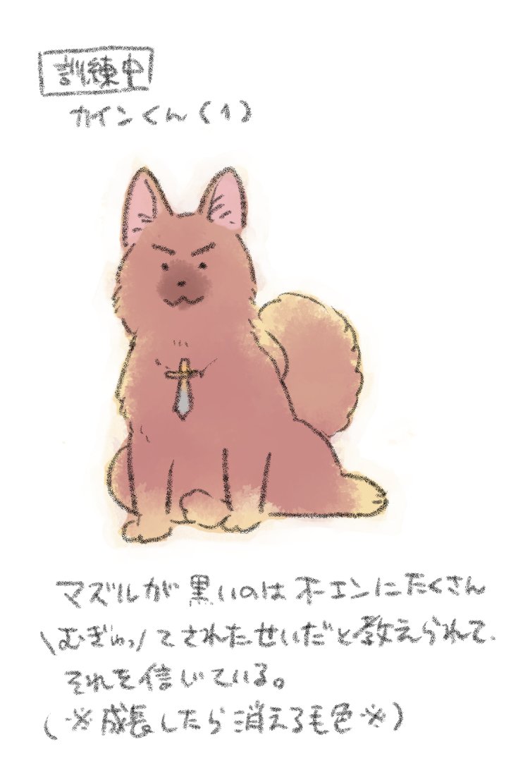 ドッグトレーナーのオーエンと訓練中のカインくんのラクガキはこれです✨🐕✨ 